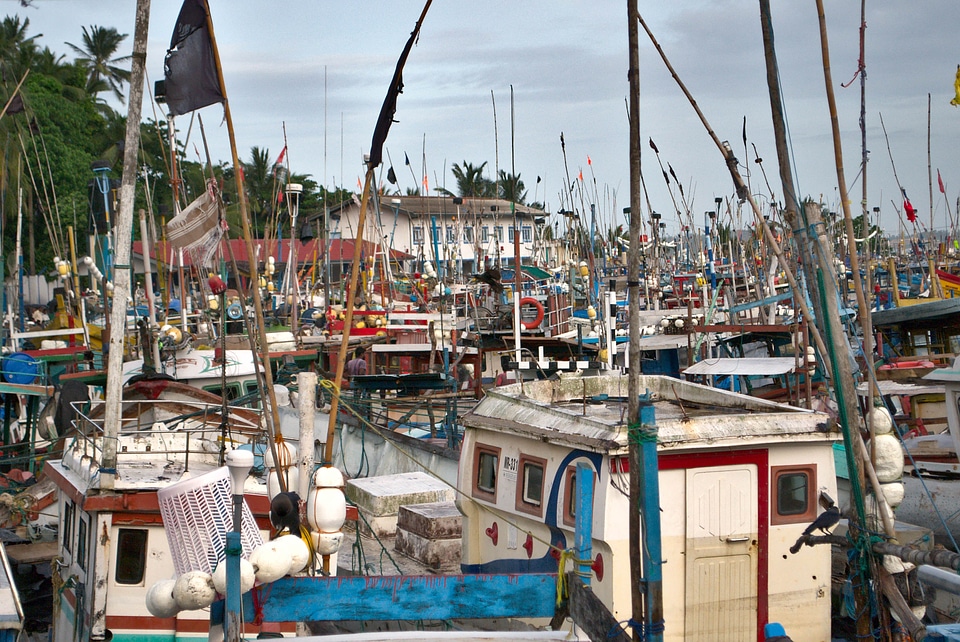 Fishing Boats photo