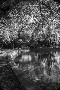 Park Lake Bridge photo