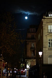 Paris Moon photo