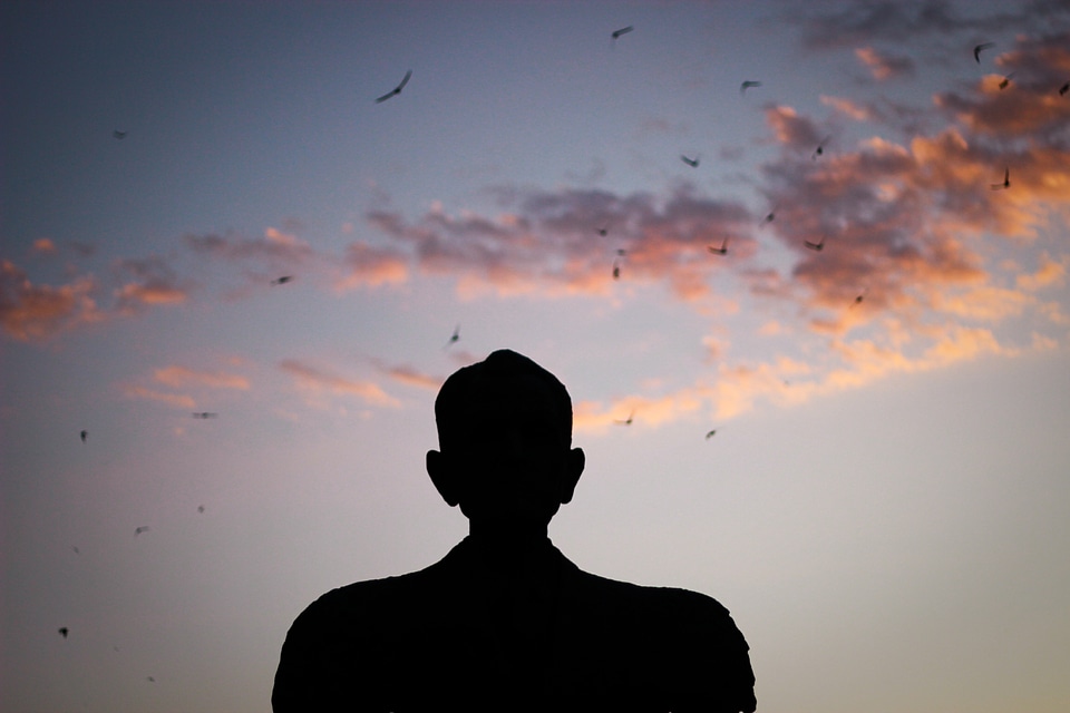 Silhouette photo