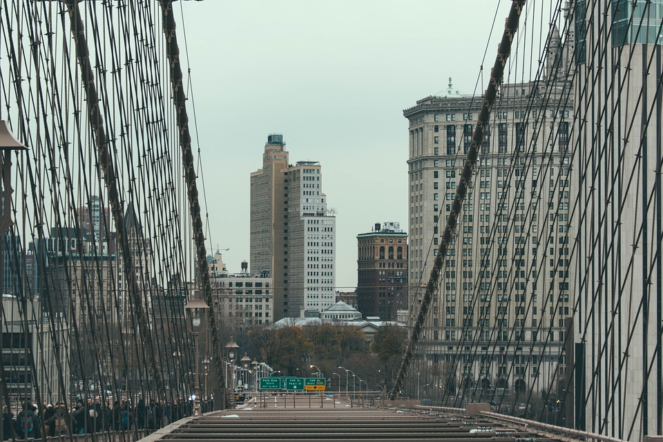 Bridge Cables photo