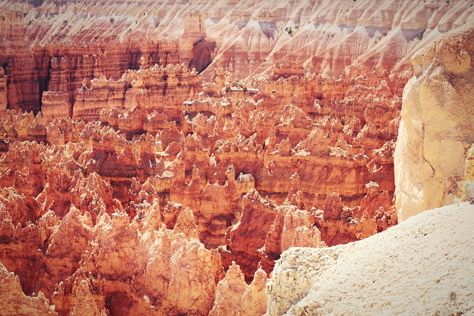 Rocks in Bryce Canyon