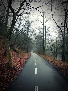 Gloomy Road photo