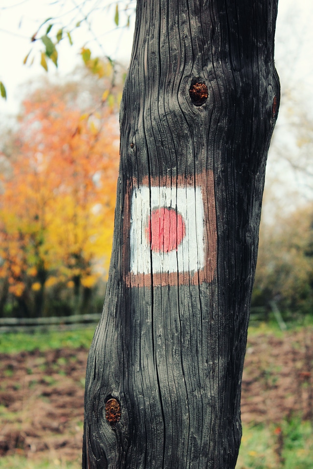 Red Circle Sign