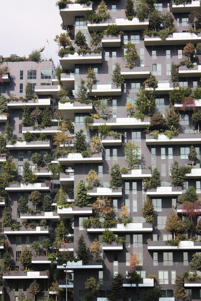Growing Skyscraper