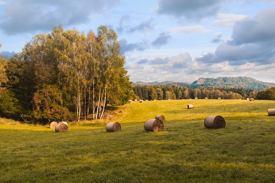 Summer beautiful meadow and sky with clouds