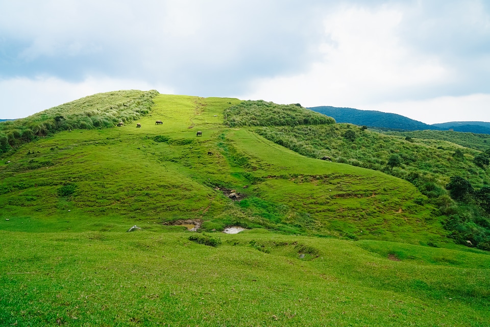 Yangmingshan National Park, Taiwan