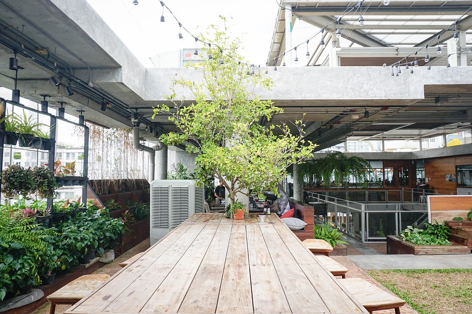 Roast Cafe, Bangkok, Thailand.