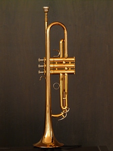 Pump valves gloss gold