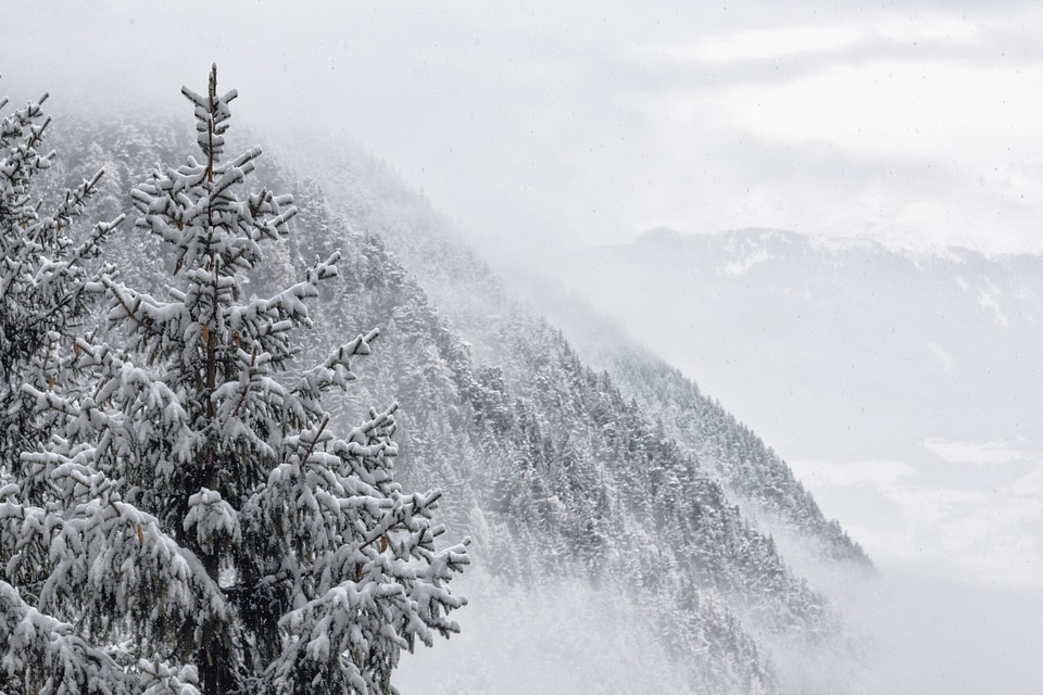 Gray landscapes mountains