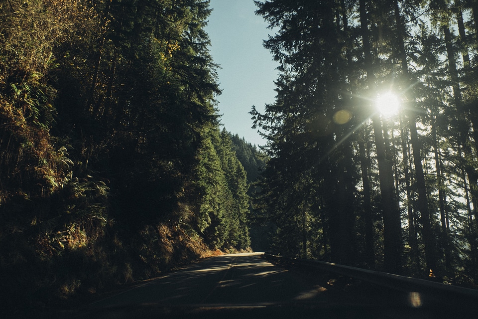 36 Journey To The Mount