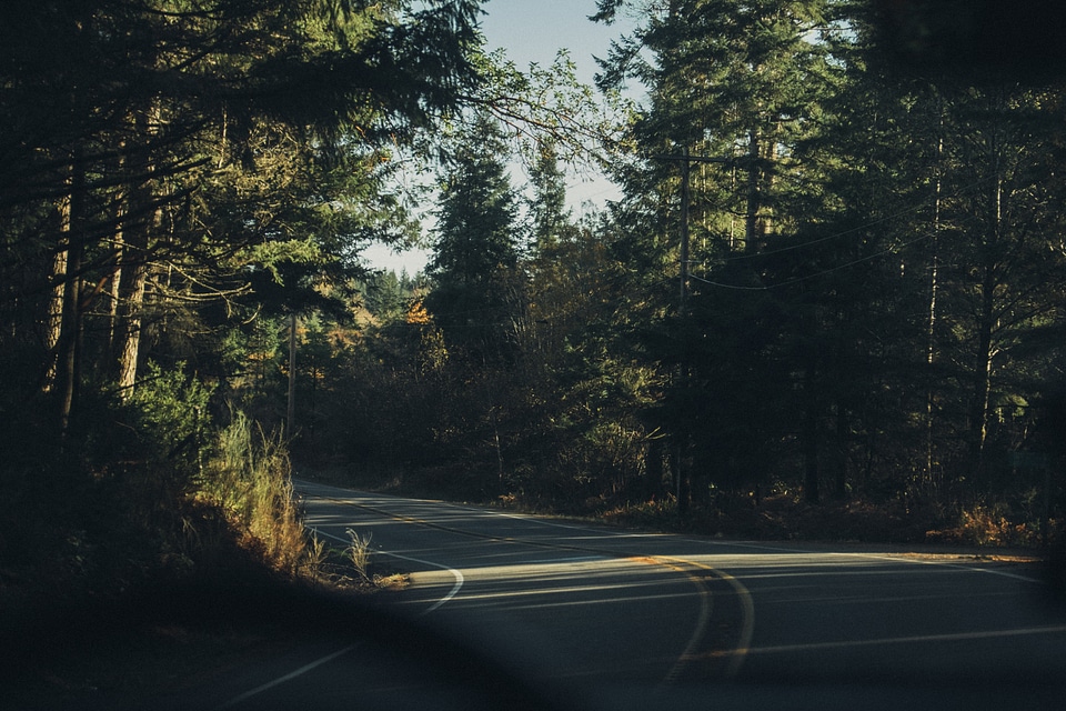82 Journey To The Mount