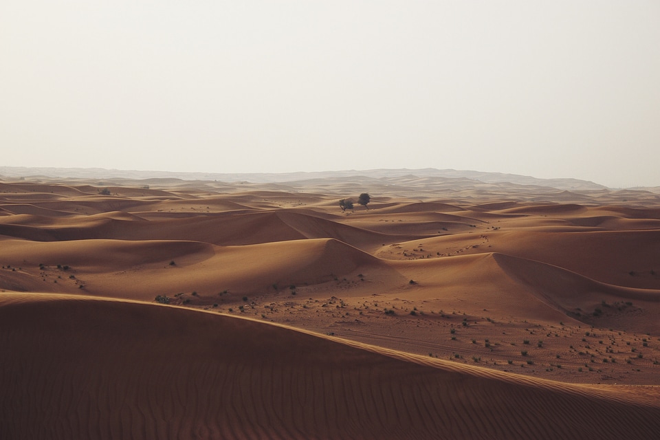 Brown desert dunes photo