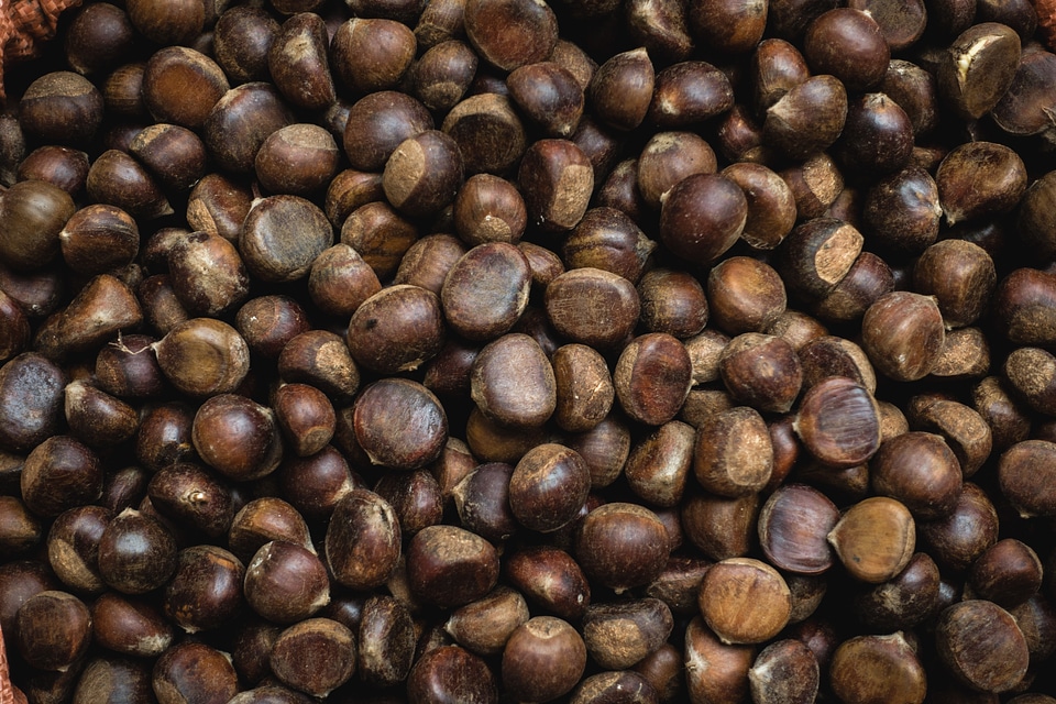 9 Autumn black brown