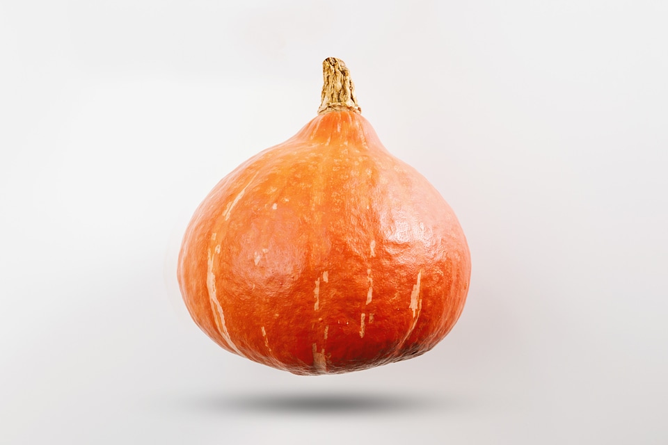 Pumpkin on white background