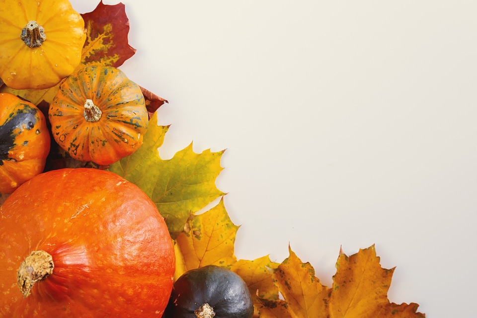 2 Pumpkins on white background with the autumn leaves