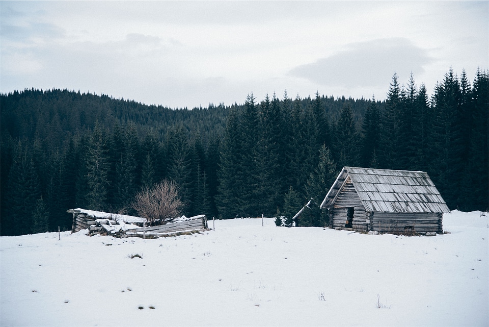 Black cold cottages photo