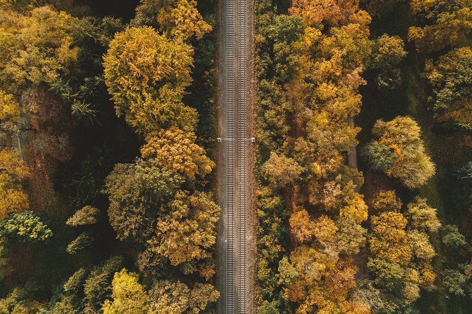 Railway in the autumn forest aerial view