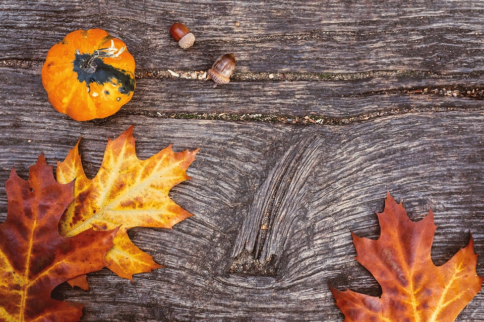 Autumn leaves and pumpkins over old wooden background