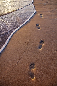 1 Beach brown footprints photo