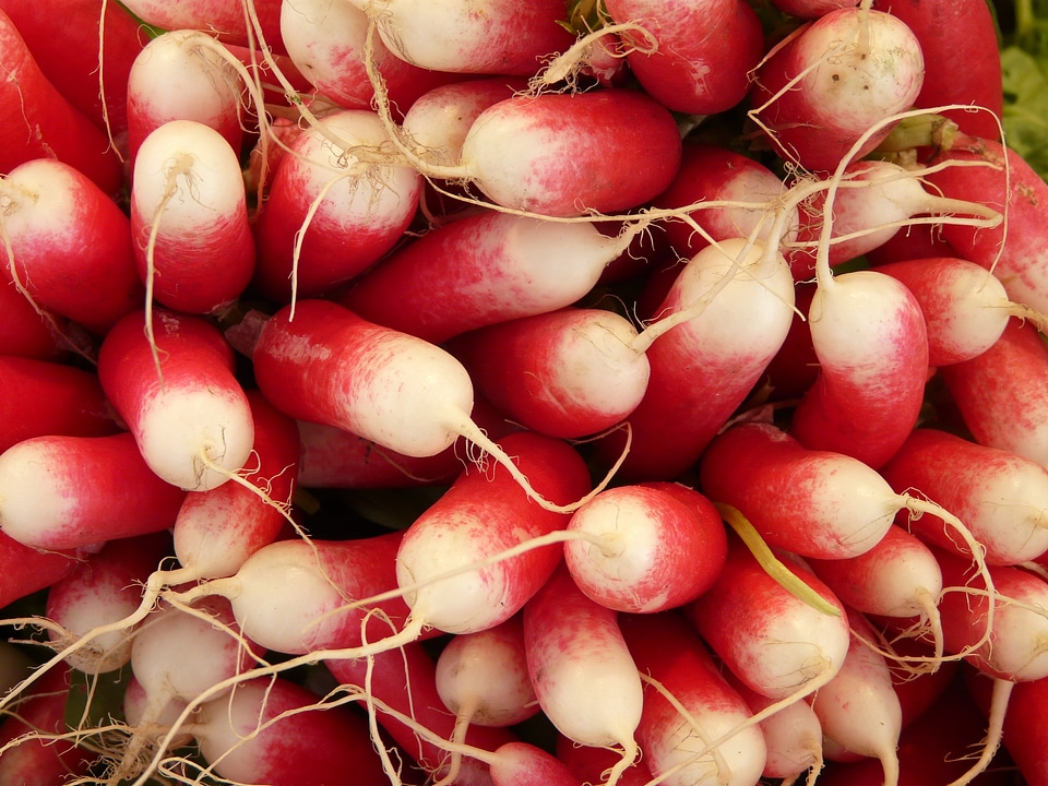 Vitamins red healthy