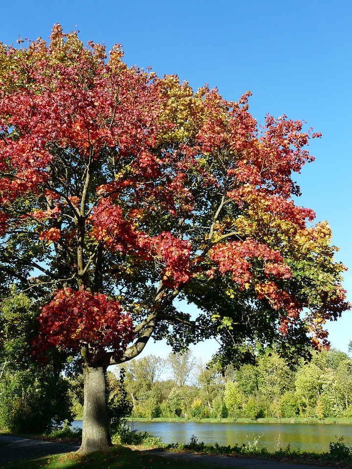 Fall foliage october fall color