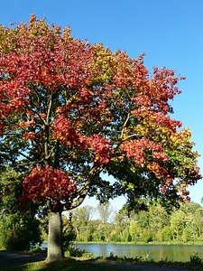 Fall foliage october fall color