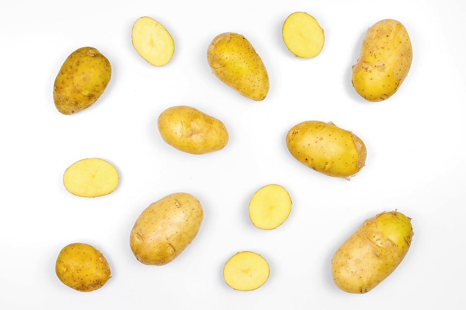 Potatoes isolated on white background. Top view.
