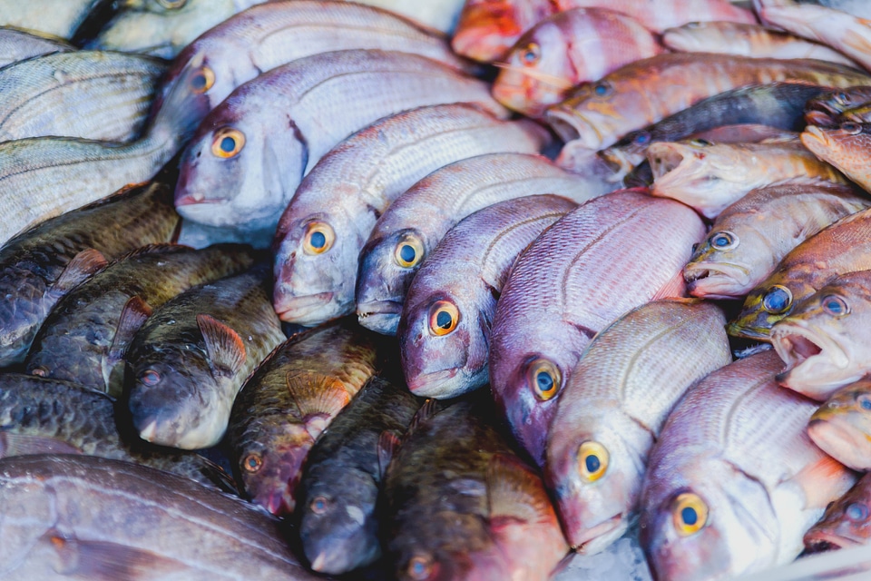 1 Mixed fishes on a table in fish market