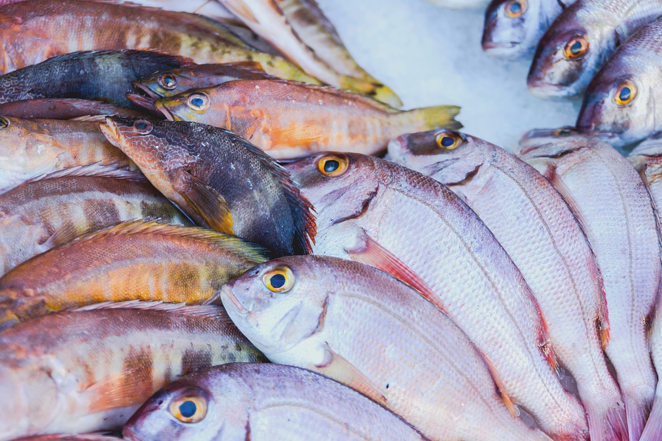 2 Mixed fishes on a table in fish market