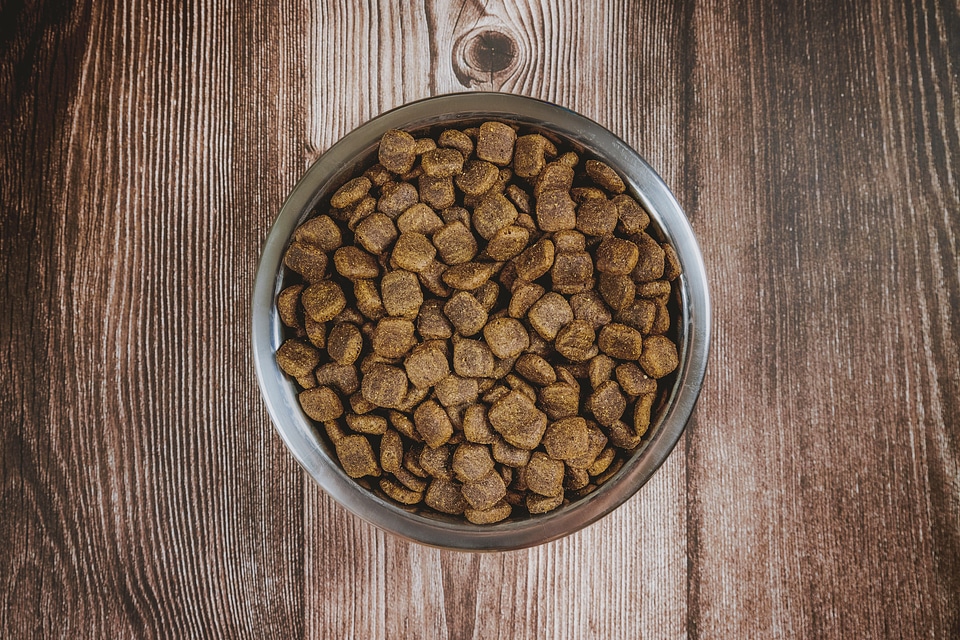 Pet food in silver bowl. Top view.