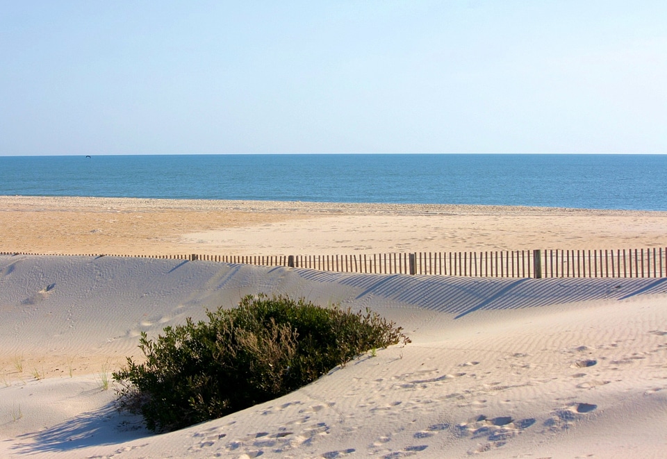 Sand fence atlantic ocean coast