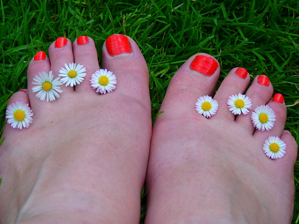 Bright orange anatomy