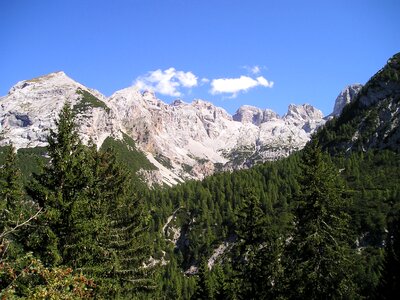 Alpine brenta italy
