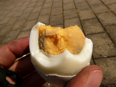 Eggshell bitten yolk