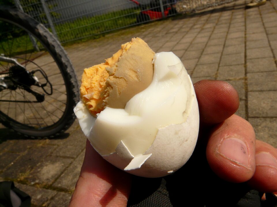 Eggshell bitten yolk