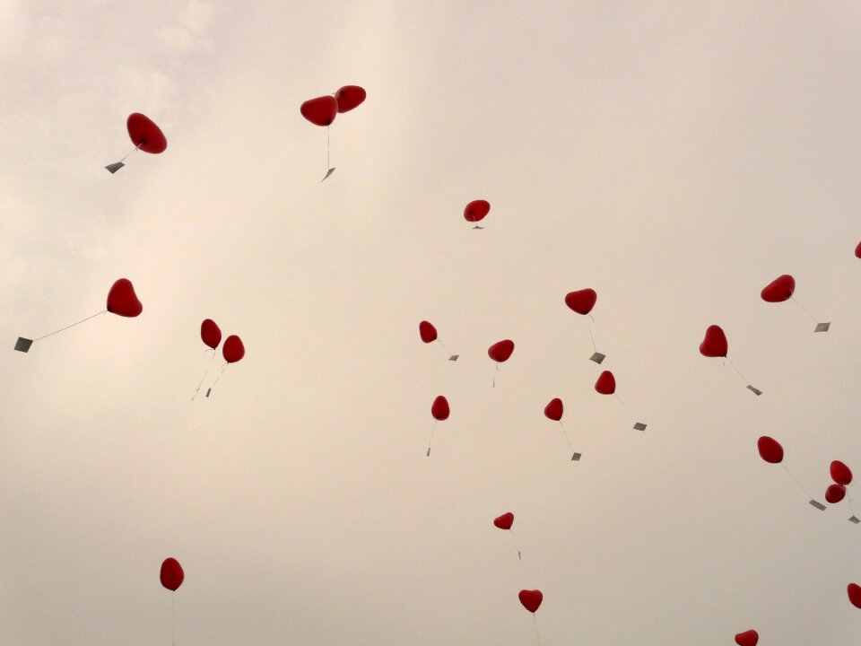 Cards flying romance