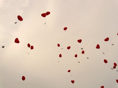 Cards flying romance