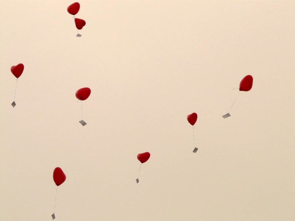 Cards flying romance