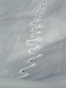 Trace curves snow