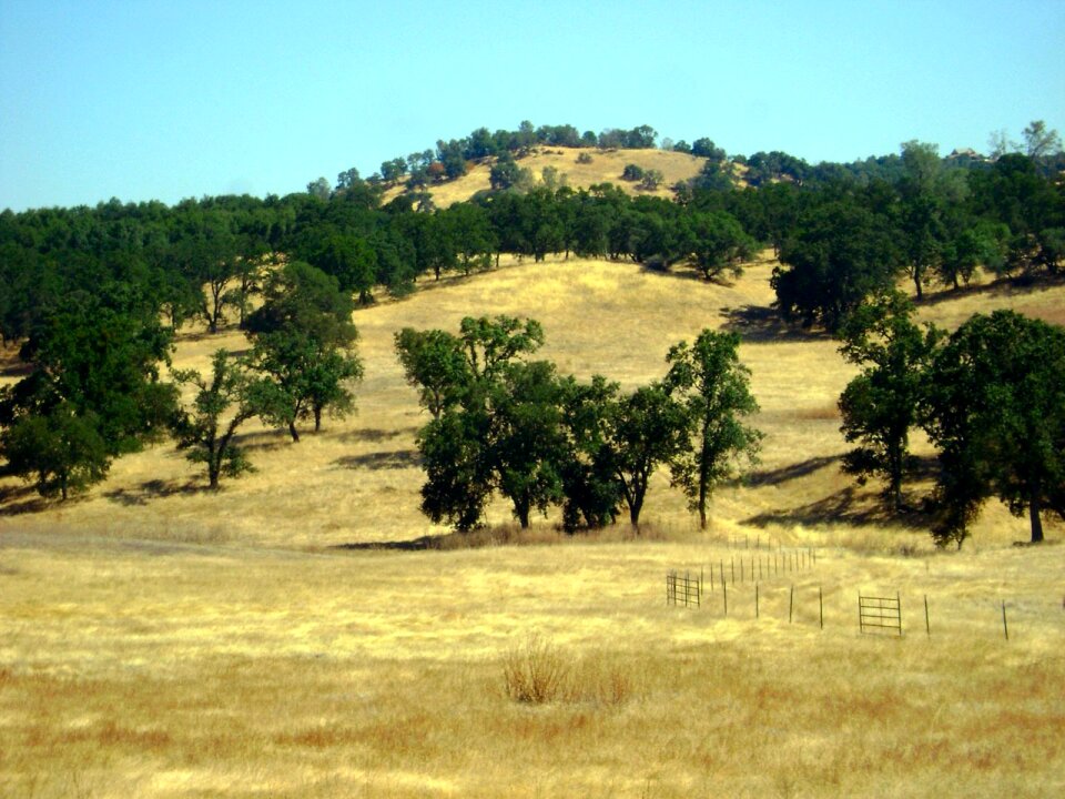 Hills hillside country