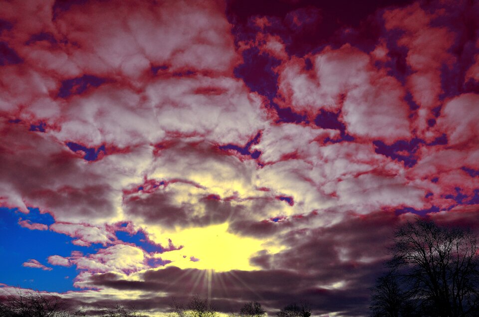 Red blue nature