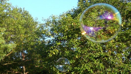 Soap bubble colorful bubble photo
