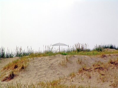 Dune sand summer