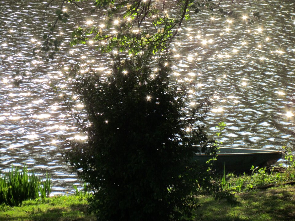Water sparkle lake