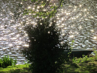 Water sparkle lake