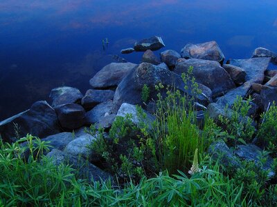 Bank stones plant