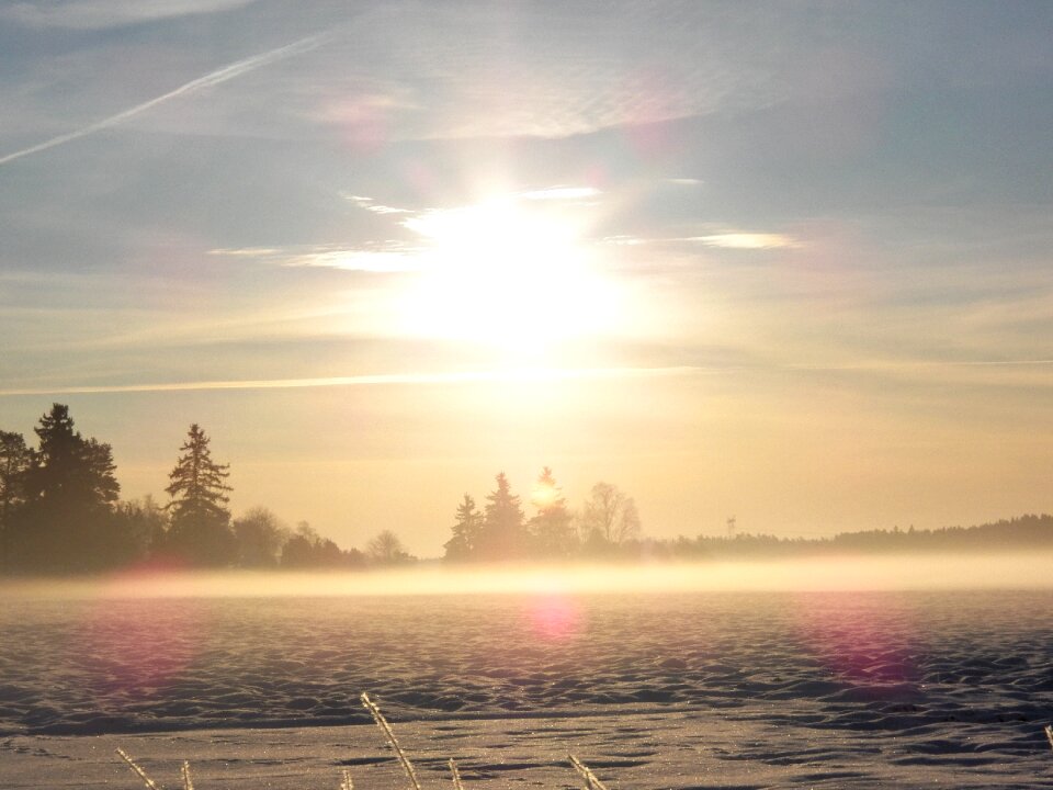 Foggy cold sunshine