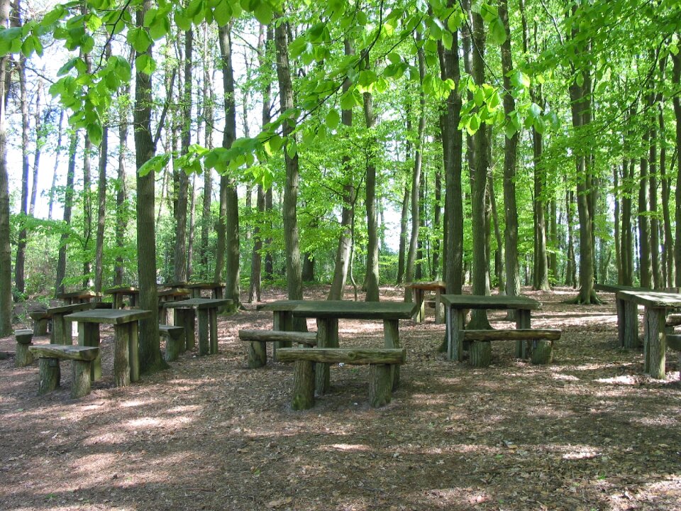 Benches green hare school