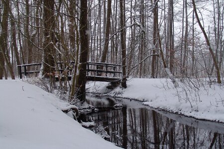 Forest bridge snow landscape